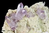 Pristine, Amethyst Crystal Cluster - Las Vigas, Mexico #165626-3
